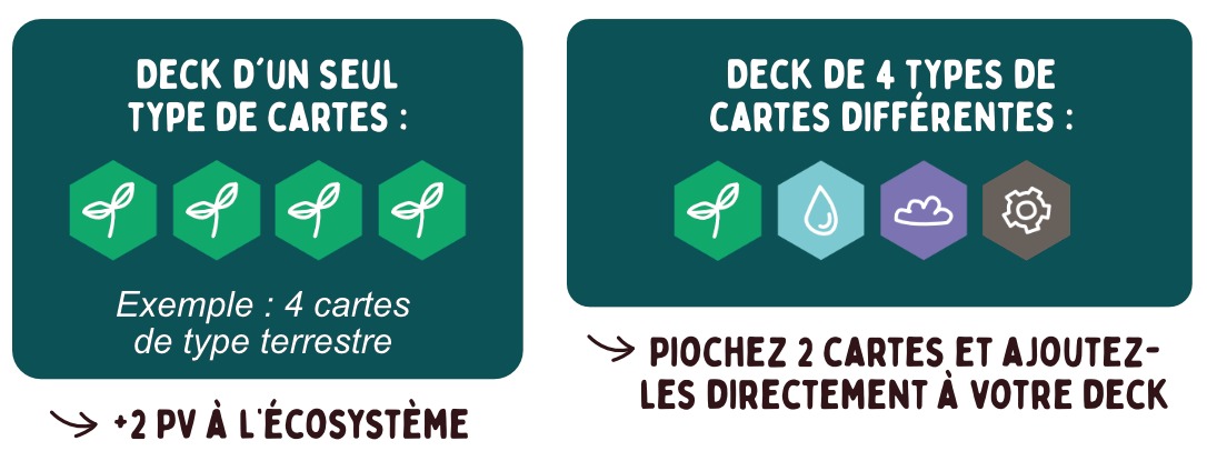 Synergies de deck : un deck d'un seul type de cartes (exemple : 4 cartes de type terrestre) donne +2 PV à l'écosystème ; un deck de 4 types de cartes différents (terrestre, océanique, atmosphérique, anthropique) permet de piocher 2 cartes et de les ajouter directement à son deck.